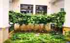 菜市场调查报告范文5篇