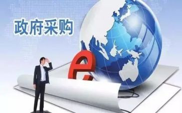 采购处工作总结优质6篇