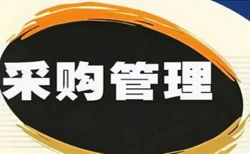 公司采购个人工作总结8篇