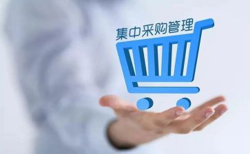 采购工作半年工作总结模板6篇