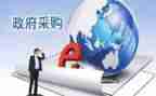 采购处工作总结优质6篇