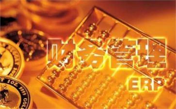 财务的个人总结8篇