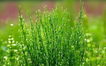 《草船》读后感推荐8篇