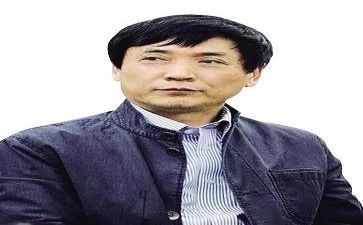 曹文轩漂来的猫读后感最新5篇
