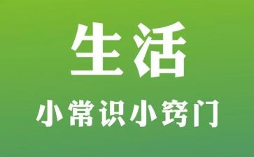 体育课安全常识教案6篇