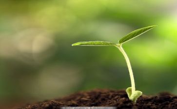 我的成长册作文优质7篇