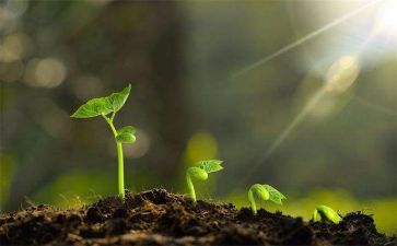 在中成长400字作文通用8篇