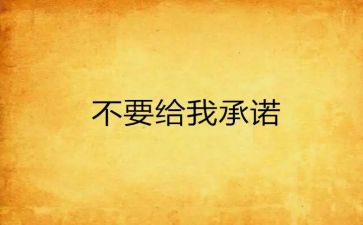承诺书总结7篇