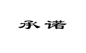 合同承诺书最新7篇
