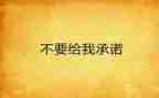 承诺书总结7篇