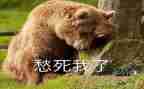 以愁为话题的作文推荐7篇
