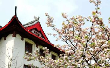 川大入团申请书最新7篇