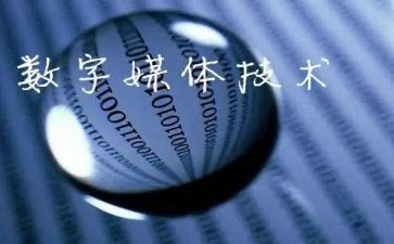 传媒公司个人总结8篇