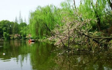 300字的春节作文优秀7篇