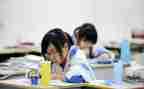 初中生物教师个人教学工作总结6篇