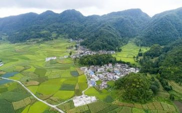 村会计培训心得参考7篇