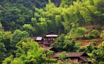 大学生到村工作心得体会范文优秀7篇