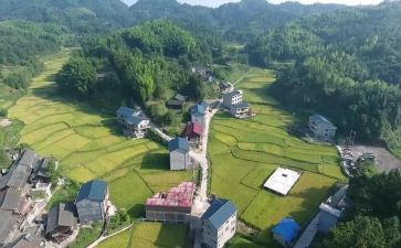 村个人年度工作计划优秀7篇