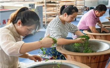 师带徒师傅心得优秀7篇