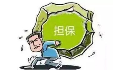 担保的工作总结精选5篇