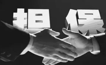 担保的工作总结通用7篇