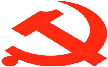 党使心得体会300字模板5篇