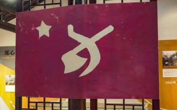 大学生党员的转正申请书优质8篇