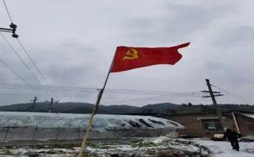 工作党员转正申请书5篇