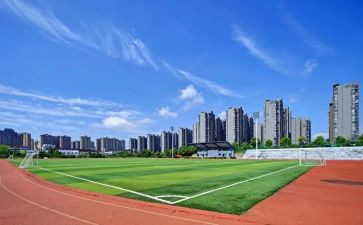 大学个人总结800字范文5篇