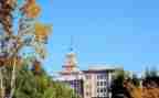 有关大学学习的心得体会7篇