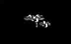 不再等待作文8篇