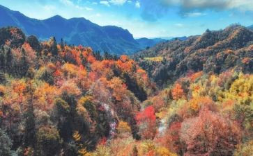 登高作文8篇