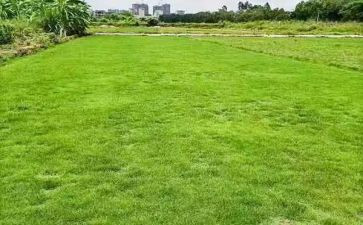 简单农村土地承包合同6篇