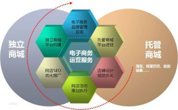 电商工作的工作总结参考5篇