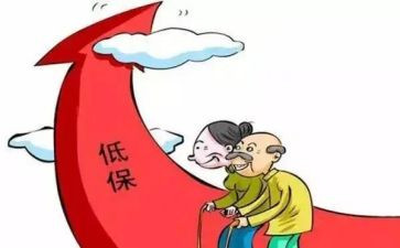 低保工作个人总结8篇