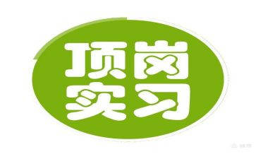 会计顶岗总结报告7篇