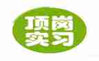 会计顶岗总结报告7篇