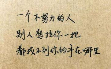 我读懂了你作文作文优秀8篇