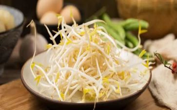 茶豆芽作文优秀5篇
