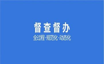 督查网工作总结8篇