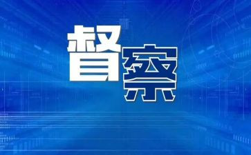 半年督查工作总结5篇