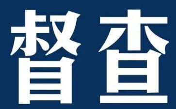 督察组工作总结7篇