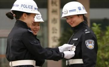 督察科个人工作总结7篇