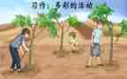 多彩的活动作文600字作文5篇