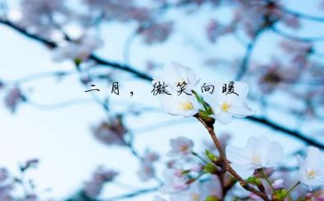 十二月学校工作总结7篇