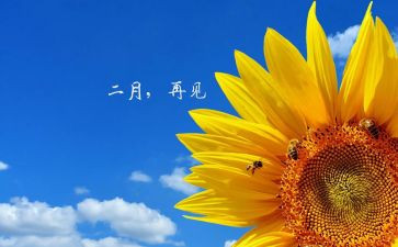 中班二月份月工作计划8篇