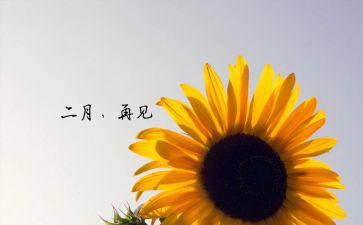 小班十二月份心得5篇