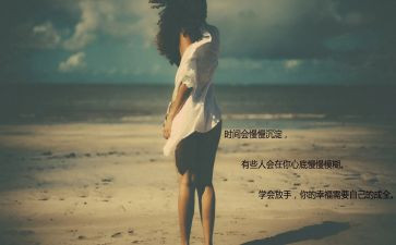 广告屏投放合同6篇