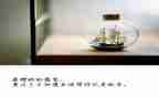放寒假作文500字8篇