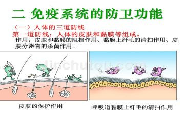 防线心得体会7篇